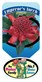 Proteaceae | Telopea | Waratah | Waratah plants | Protea plants | Proteaceae plants | Telopea plants | Waratah plants | Telopea Plant |Telopea Corroboree Waratah |Shrub | Large Shrub | Australian native plant | Telopea Emperors Torch Waratah Label