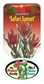 Leucadendron Safari Sunset Label, Leucadendron, Protea plant